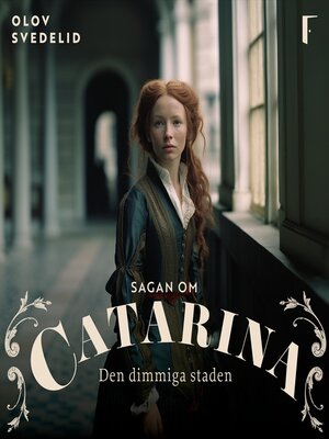 cover image of Den dimmiga staden